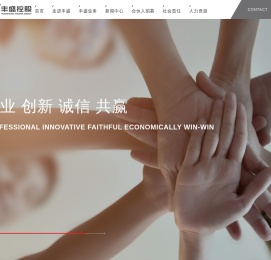 杭州丰盛控股集团有限公司