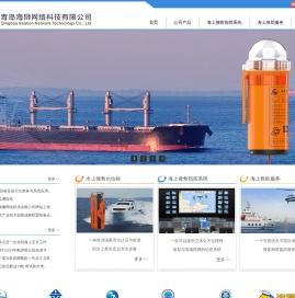 青岛海狮网络科技有限公司