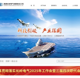 陕西长岭电气有限责任公司