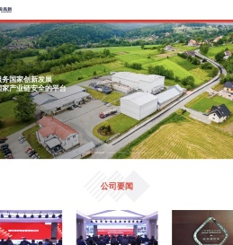 中国国投高新产业投资有限公司