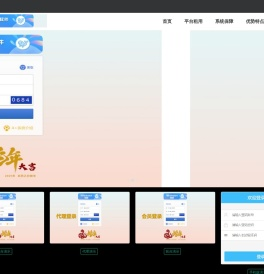A+金牌系统出租