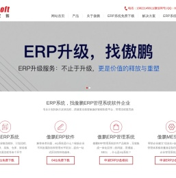 ERP系统