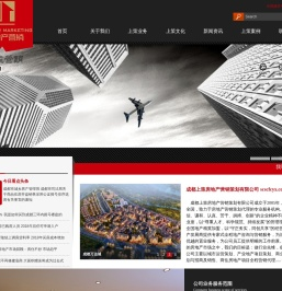 成都上策房地产营销策划有限公司