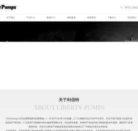 进口污水提升泵