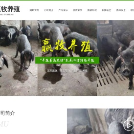 济南市钢城区赢牧黑猪养殖场