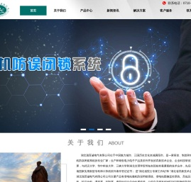 湖北瑞百诚电气有限公司