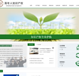 深圳青年人专利商标代理有限公司