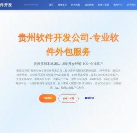 贵州软件开发公司