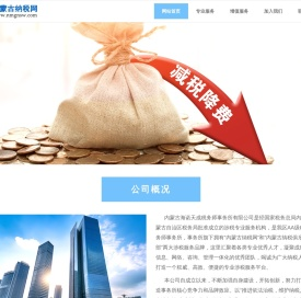 内蒙古纳税网