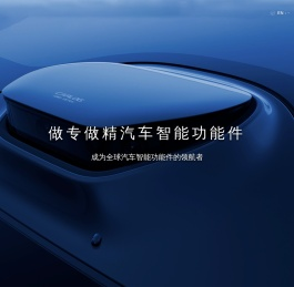 宁波舜宇精工股份有限公司