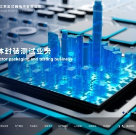 江苏盐芯微电子有限公司