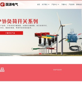 国源电气有限公司