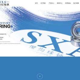 宁波市新世纪轴承有限公司