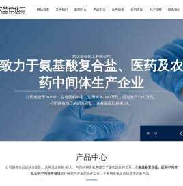 武汉圣佳化工有限公司