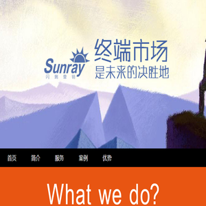 闪瑞营销策划