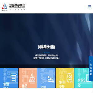 龙光电子集团有限公司