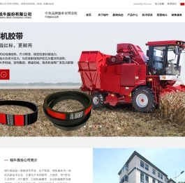 锐牛股份有限公司