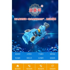 渣油泵,圆弧齿轮泵,不锈钢齿轮泵