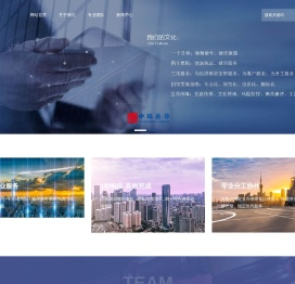 中瑞岳华税务师事务所集团有限公司