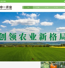 中一农业
