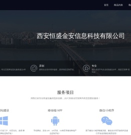 西安恒盛金安信息科技有限公司