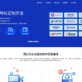 软件网站定制开发公司