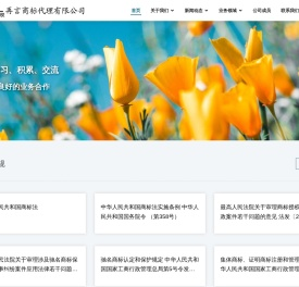 再言商标代理有限公司