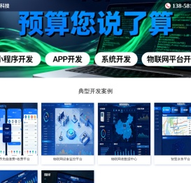 软件系统开发,杭州物联网开发公司