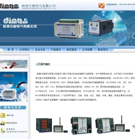 陕西今朝电气有限公司