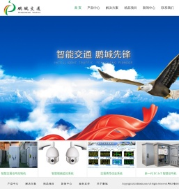 深圳市鹏城交通网络股份有限公司