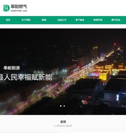 山东莘县莘阳燃气有限公司