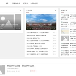 视频格式转换助手