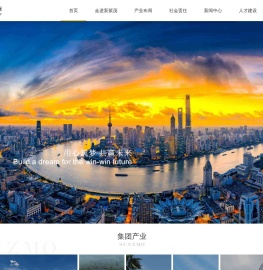 上海新紫茂集团