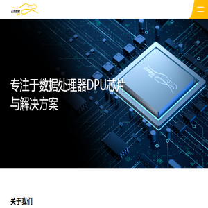 云豹智能【云豹智能】专注于云计算和数据处理器DPU芯片与解决方案