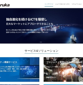 上海丸加計算機信息技術有限公司