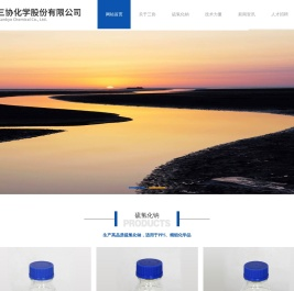 东营三协化学公司