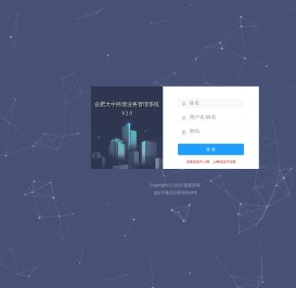 合肥大中跨境业务管理系统