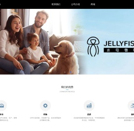 深圳水母物联安全技术有限公司