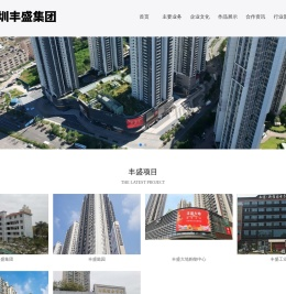 深圳市丰盛投资集团有限公司