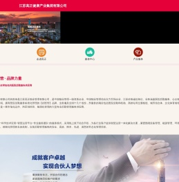 江苏高正健康产业集团有限公司