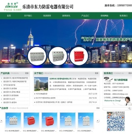 乐清市东力防雷电器有限公司