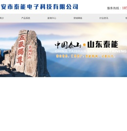 泰安市泰能电子科技有限公司【网站】