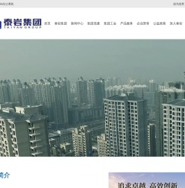 泰岩集团