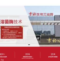 江苏雪豹日化有限公司