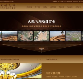 大鹏飞翔国际集团