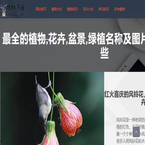 植物图谱