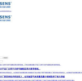 国产质量流量计