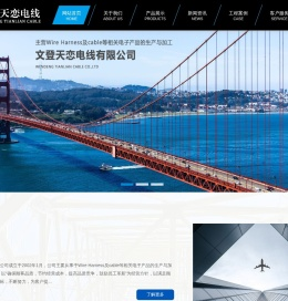 文登天恋电线有限公司