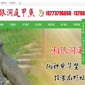 甲鱼,甲鱼苗,外塘甲鱼,甲鱼批发,甲鱼养殖,湖南甲鱼,甲鱼销售,大湖甲鱼,中华鳖苗18773795858