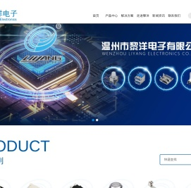 温州市黎洋电子有限公司